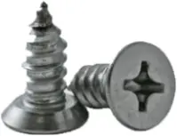 Self-Tapping Stainless Steel Screws
